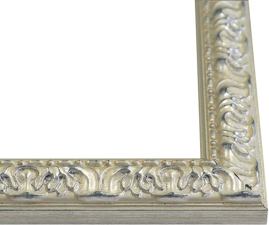 Amazon.co.jp: 油絵用額縁 246/シルバー F50号(1167×910mm) 前面UV